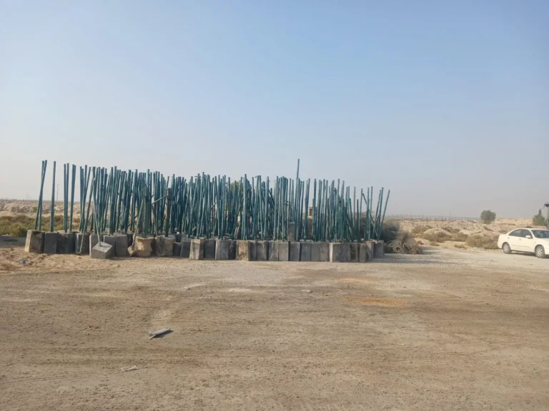 Existing Fence Removed (2)