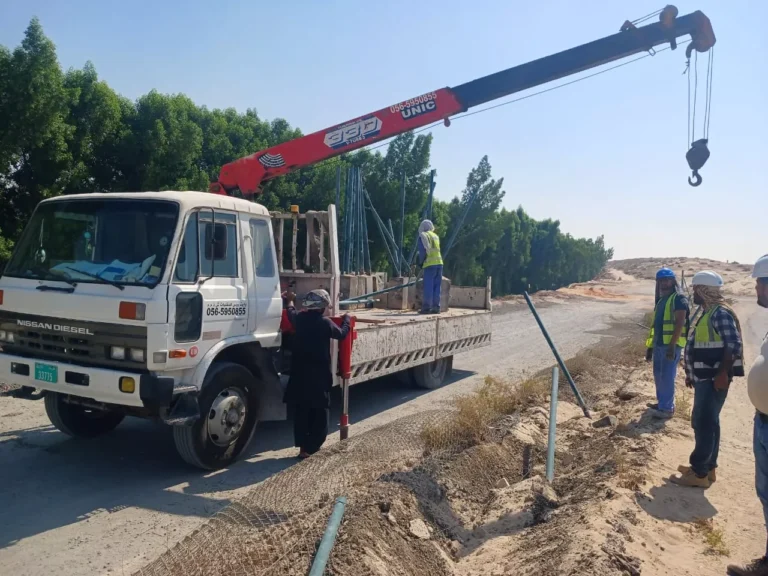 Fence Removal