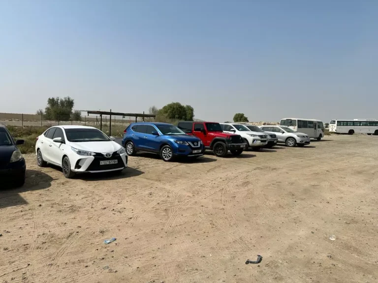 Reverse Parking